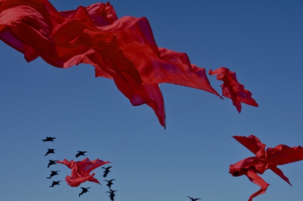 Flowx silk kites by WindFire Designs Tim Elverston