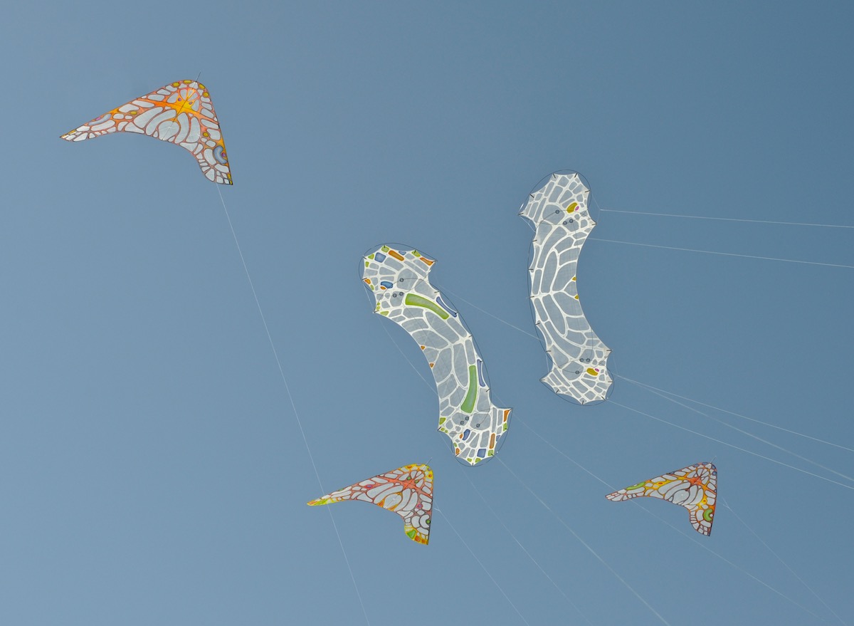 two lacewing flame quadline kites by windfire designs and 3 morho gliders