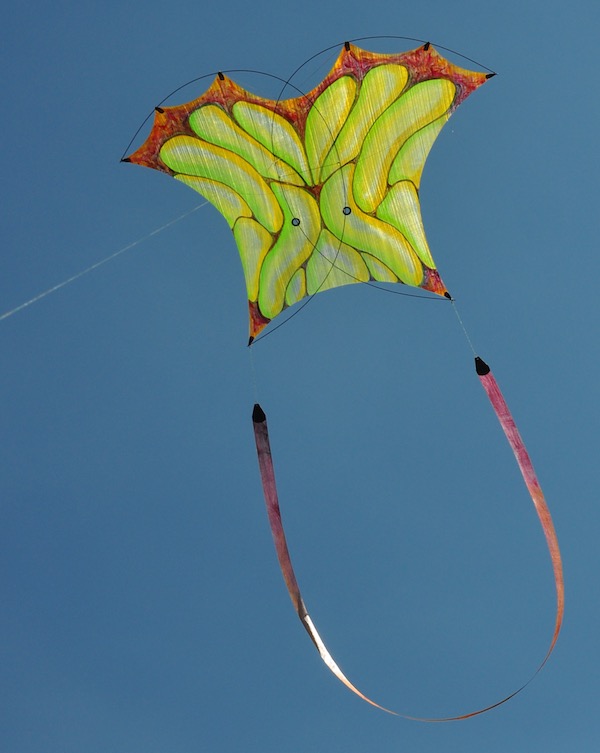 Photon kite painted by ruth whiting and designed by tim elverston