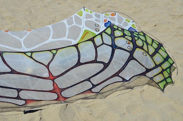 Two WindFire Flames in the sand - quadline kites designed by Tim Elverston and painted by Ruth Whiting