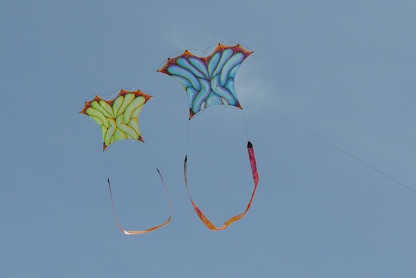 Mini Photon kite designed by Tim Elverston and painted by Ruth Whiting | WindFire Designs