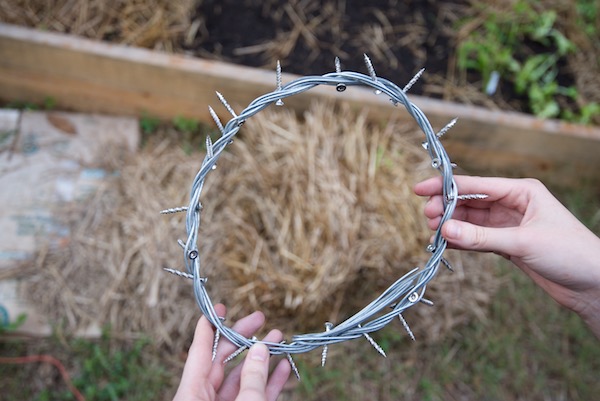 Crown of Thorns by Bridget Whiting