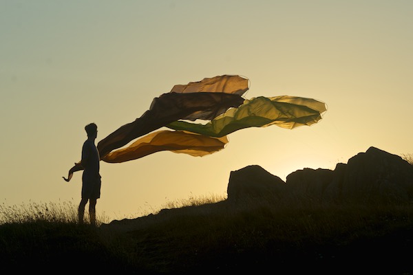 3 Flowx - FlowxL - Tim Elverston - Normandy - silk kites - 23' long