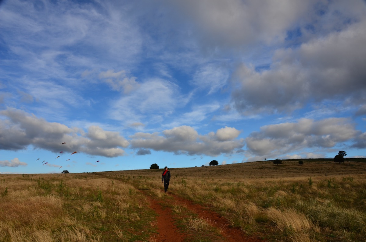 Tim Elverston with field of Flowx on Snake Hill in Daylesford Australia - photo by Ruth Whiting