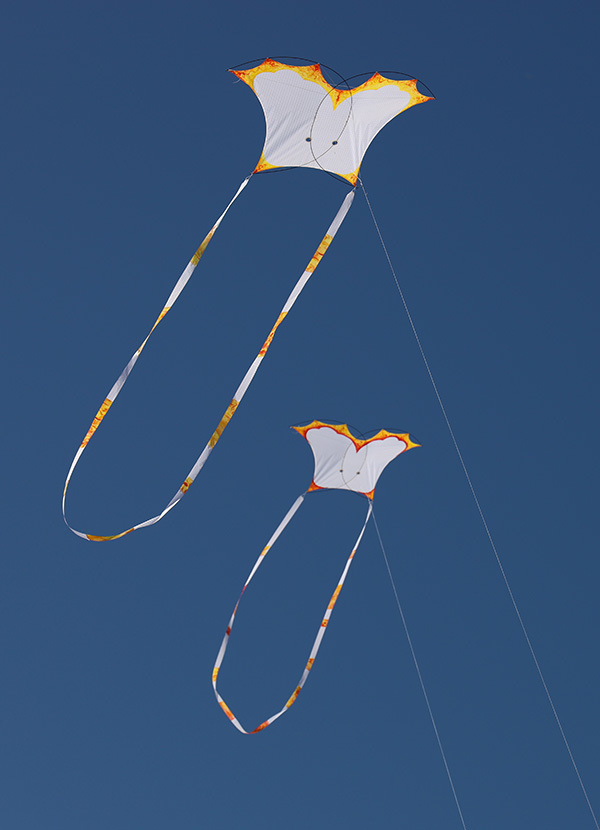 Photon kite painted by ruth whiting and designed by tim elverston